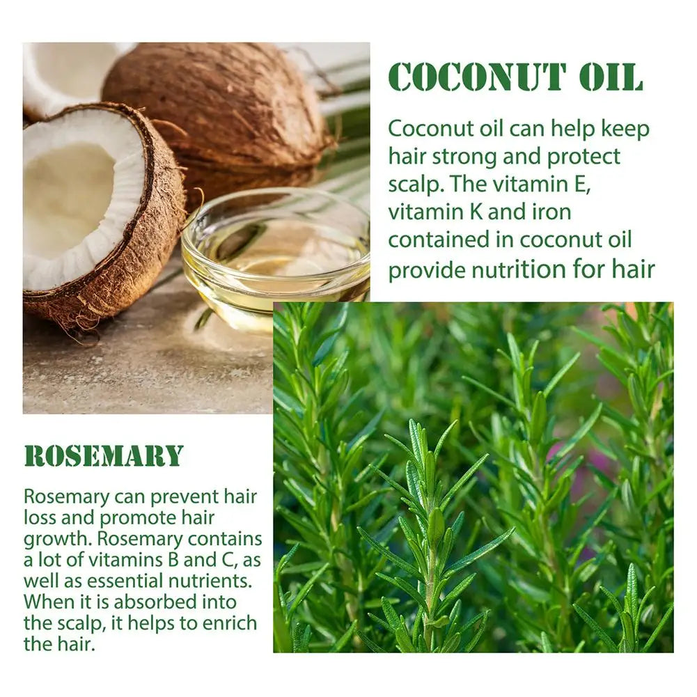 Rosemary Oil Hair Growth Essential Coconut Oil Improve Hair