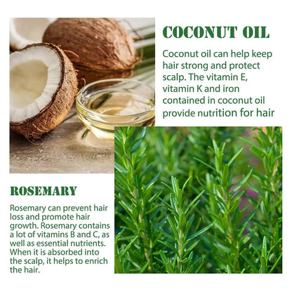 Rosemary Oil Hair Growth Essential Coconut Oil Improve Hair