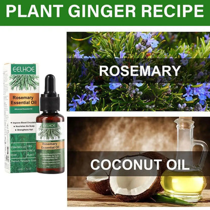 Rosemary Oil Hair Growth Essential Coconut Oil Improve Hair