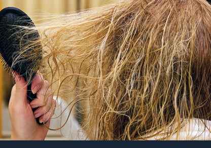 Theloue luxe oil hair care set