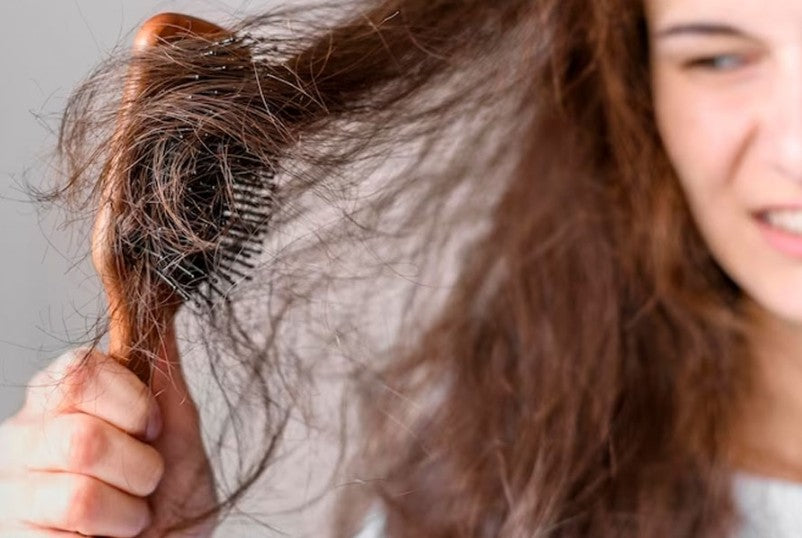 Theloue luxe oil hair care set